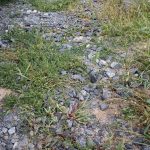 Можно ли заливать бетонную парковку по старой щебеночной отсыпке?