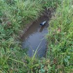 Стоит ли покупать участок с глиной, водой в ямах и непонятными трубами