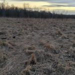 Как разровнять участок с кочками без отсыпки и поднятия уровня грунта?