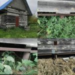Отходит обвязка на свайном фундаменте: что делать?