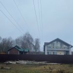 Реально ли убрать почти сотню небольших пней без трактора?