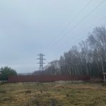 Реально ли убрать почти сотню небольших пней без трактора?