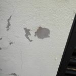 Можно ли наносить короед на старую краску по штукатурке?