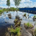 С чего начать подготовку заболоченного участка перед корчевкой, геологией и отсыпкой?