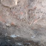 С чего начать восстановление старого деревянного дома с просадкой и гнилыми венцами