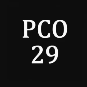 Ремстройотдел29