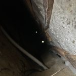 Конденсат в доме под полом на плёнке, что делать?