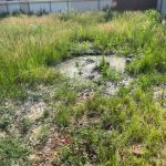 Участок в низине после дождей: чем лучше отсыпать, если вода стоит около недели