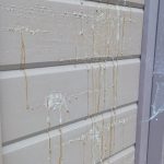 На фасаде каркасного дома вздулась краска и выходит смола: это брак или особенность древесины?