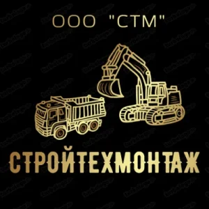 СТМ