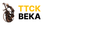 ТТСК ВЕКА